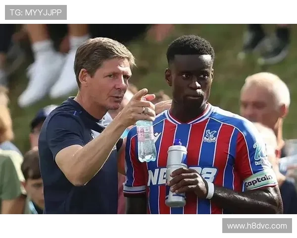 水晶宫计划冬窗出售身价5000万格伊红军将面临皇萨仁激烈竞争